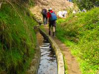 Referta / Castelejo - Levada Walk - Hizvo