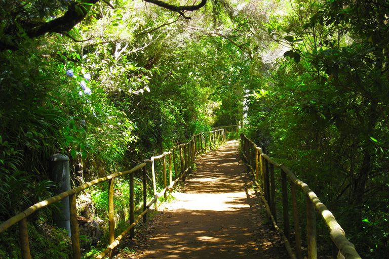 Madeira: Queimadas, Caldeirão Verde en Levada Walk