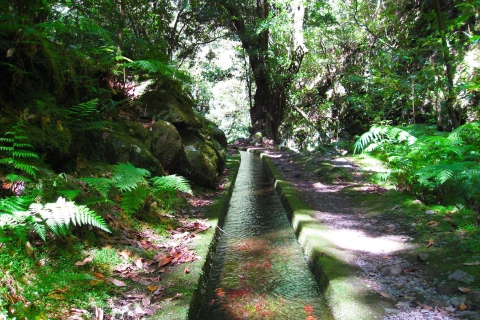 Ab Funchal: Levada-Wanderung durch die Täler von São JorgeAb Funchal: Private Wanderung im São Jorge Levada Tal