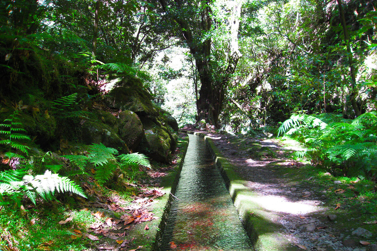 Depuis Funchal : levada des vallées de São Jorge