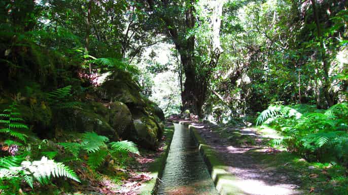 valli di são jorge passeggiata lungo le levadas da funchal