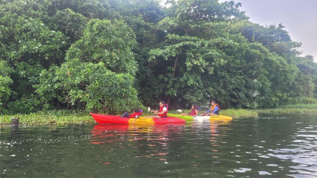 Visit Kayaking to Pathiramanal Island Bird Sanctuary & Nature Walk in Changanassery, Kerala, India