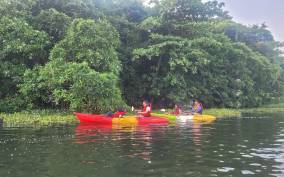 Kayaking to Pathiramanal Island Bird Sanctuary & Nature Walk