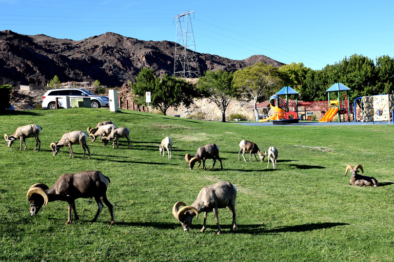 Desde Las Vegas: excursión VIP a la presa Hoover de grupos pequeñosTour privado para grupos de 7 a 10