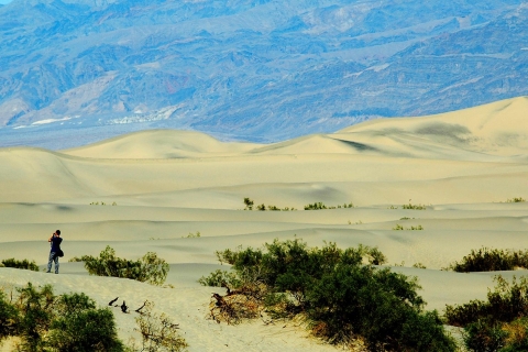 Vanuit Las Vegas: dagtrip Death ValleyPrivétour voor een groep van 7-10 personen