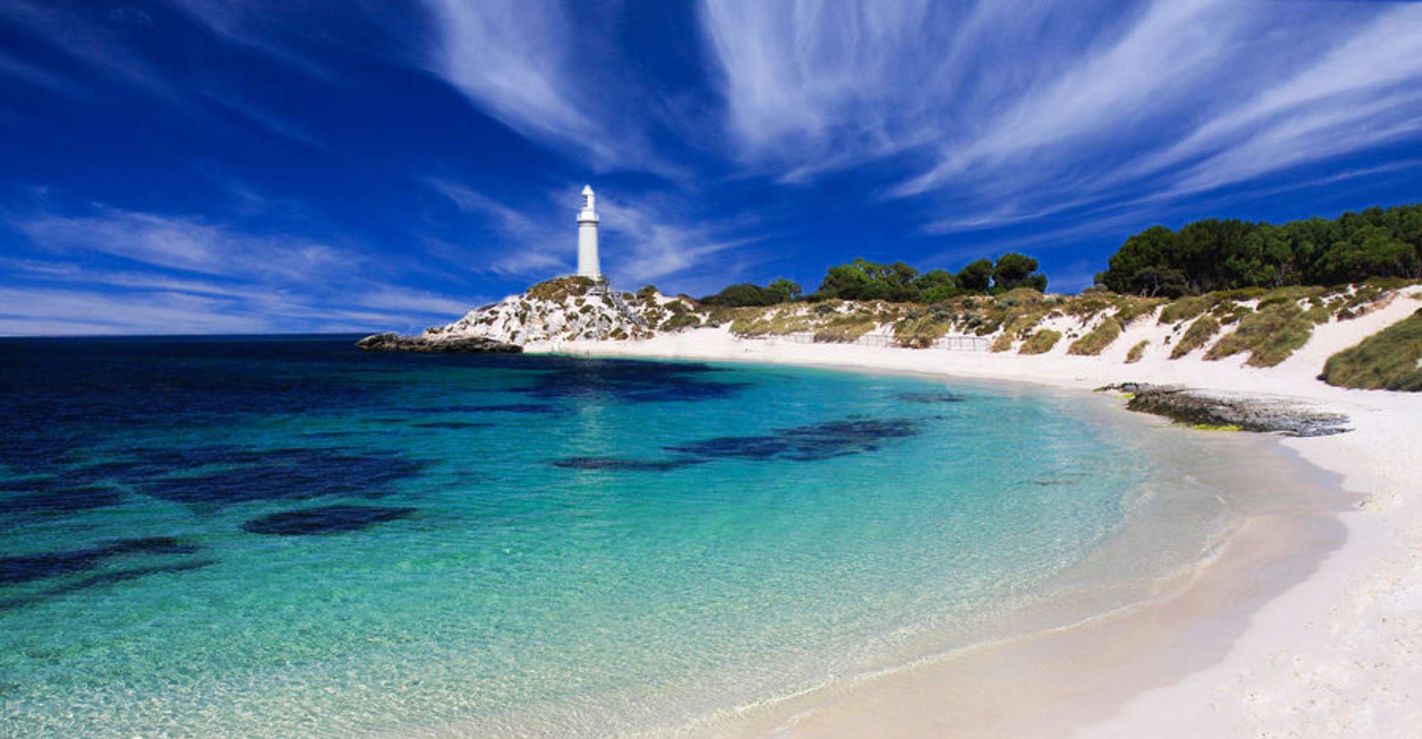 Rottnest Island Grand Bus & Train Tour - Housity