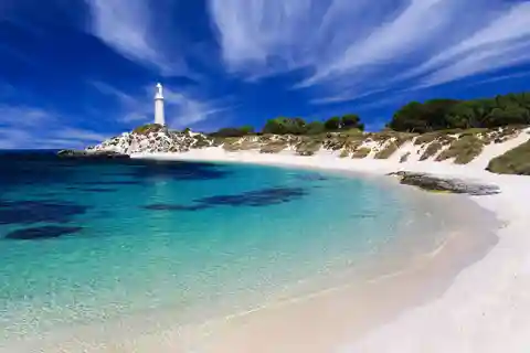 Gran tour en autobús y tren por la Isla Rottnest