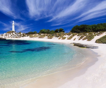 Île Rottnest : Visite en bus et en train avec déjeuner
