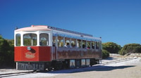 Rottnest Island Grand Bus & Train Tour - Housity