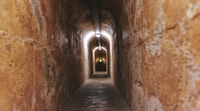 Rottnest Island Grand Bus & Train Tour - Housity