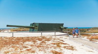 Rottnest Island Grand Bus & Train Tour - Housity