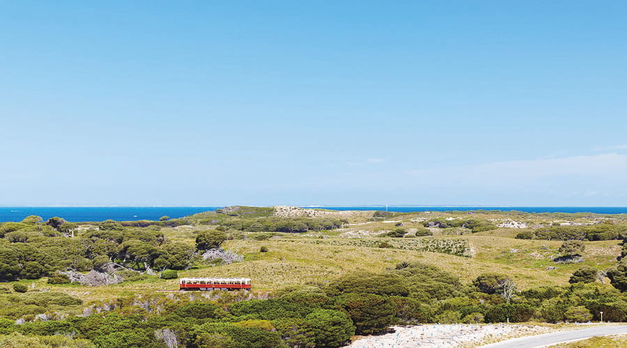 Rottnest Island Grand Bus & Train Tour - Housity