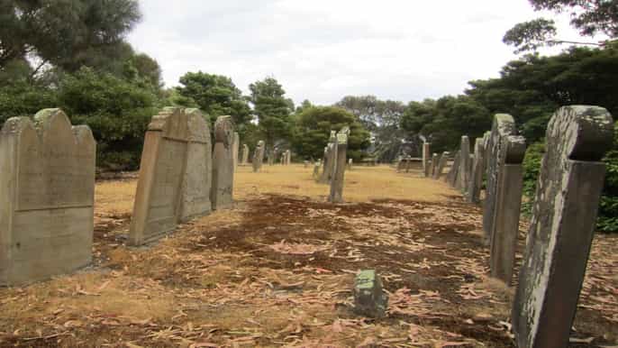 port arthur tour with isle of the dead cruise