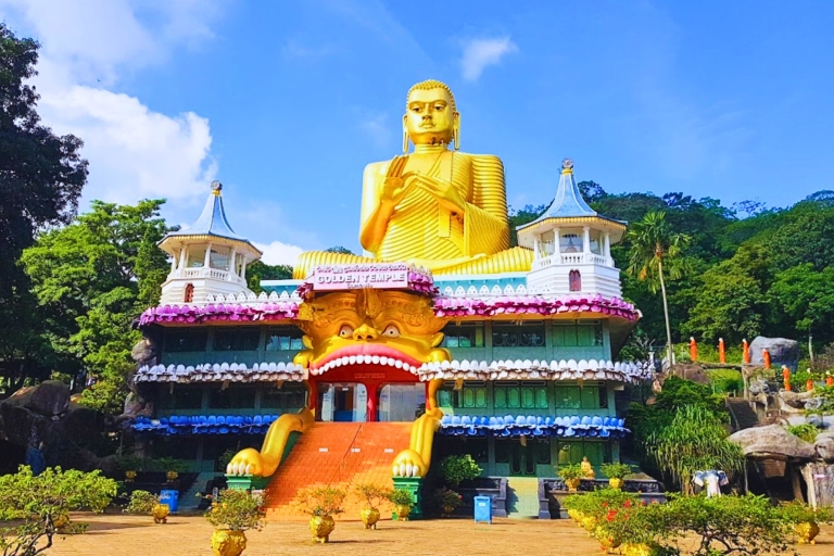 From Colombo: Sigiriya and Dambulla Day Trip with Safari