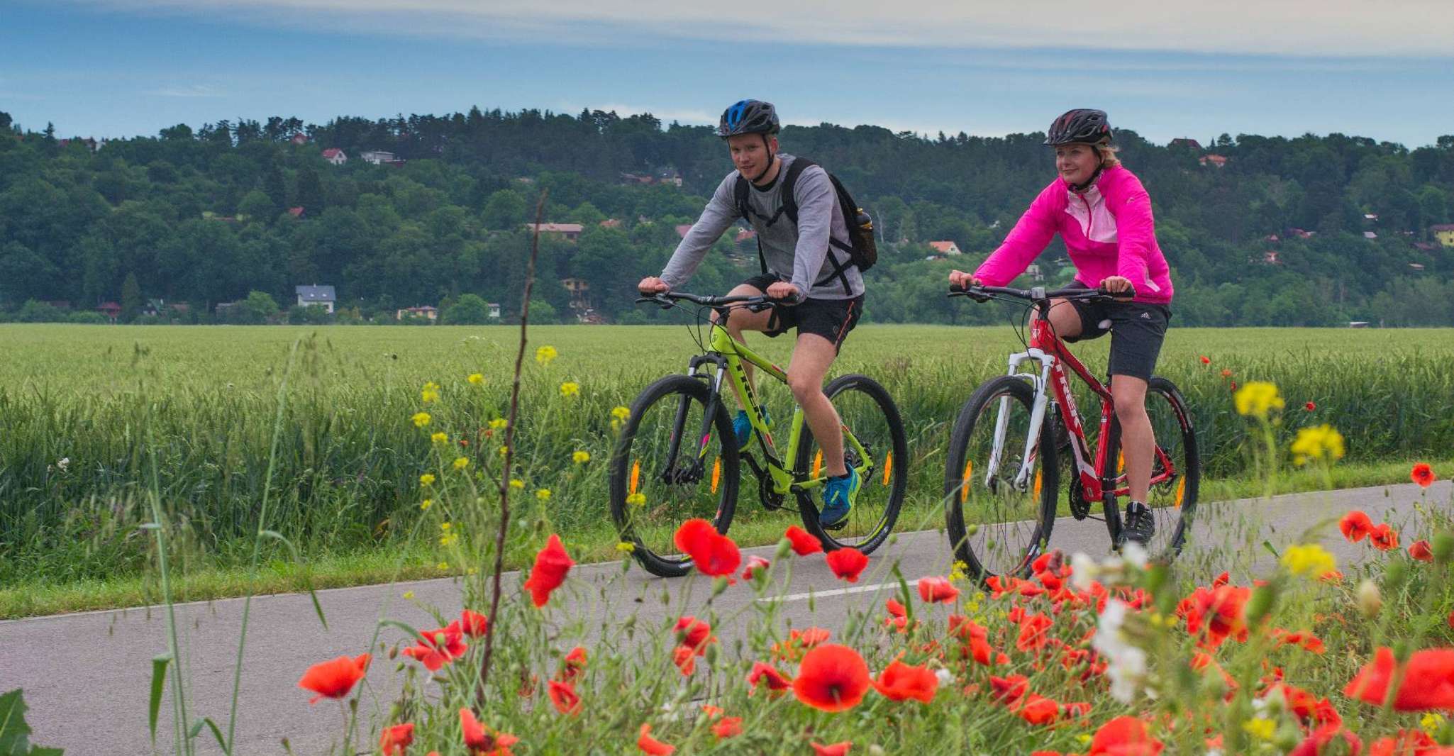 E-Bike Day Trip, Visit a Roman Castle and Taste Craft Beer - Housity