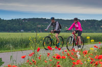 e-bike Day trip、ローマの城を訪れて、味のクラフトビール - Housity