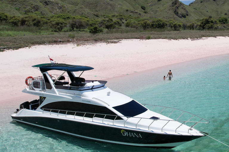 Komodo visite d&#039;une jounée en bateau à moteur au départ de Labuan Bajo