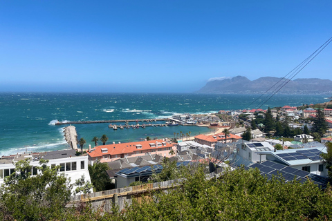 Cape of Good Hope & African Penguins Small Group Tour