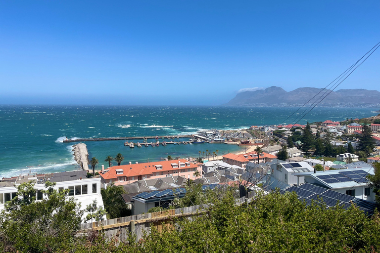 Cape of Good Hope & African Penguins Small Group Tour
