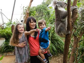 Sydney: 2, 3 oder 4 Multi-Attraction Pass & Hafenahrt Sydney: 2, 3 oder 4 Multi-Attraction Pass & Hafenahrt