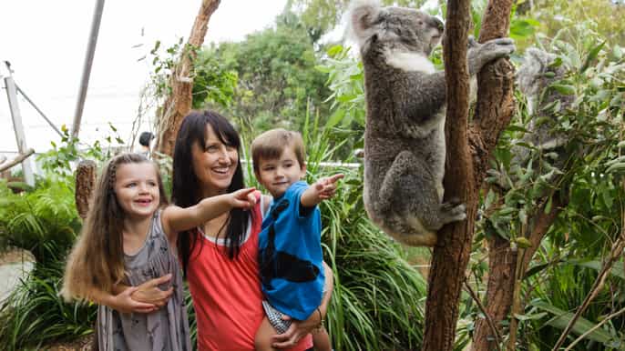 sydney pass pour 2 3 ou 4 attractions et option croisière