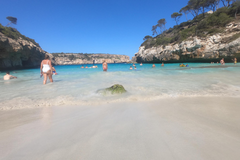 Majorque : Excursion d'une journée à Des Moro, Salmunia et LlombardsDepuis le nord : Mallorca tour Cala Des Moro, Salmunia y Llombard