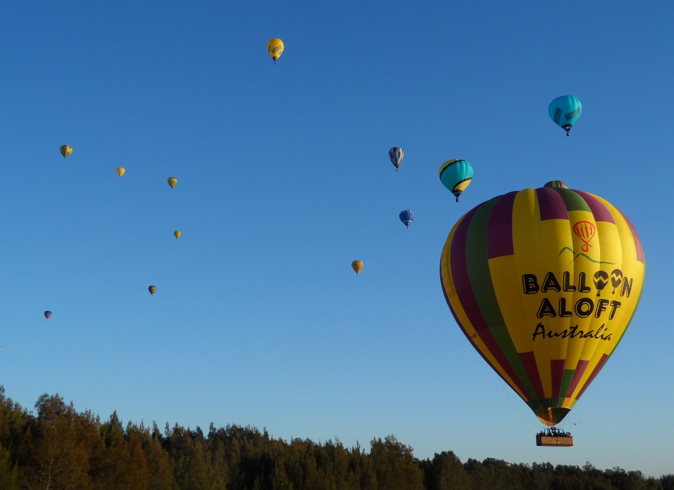 Hunter Valley: Ballontur i solopgang med boblende morgenmad