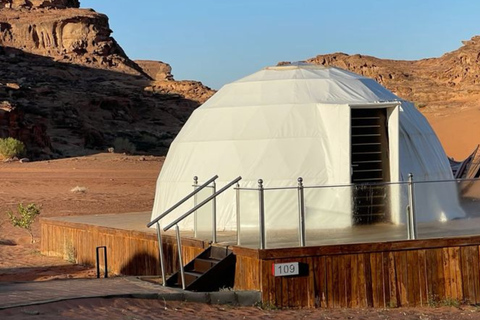 Discover Jordan from north to south on a 5-day private tour