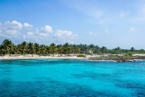 Cancun - dykning Cozumel Dykning för nybörjareDykning för nybörjare