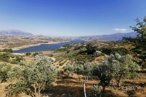 Ronda: Andalusian Countryside Horseback Riding Tour