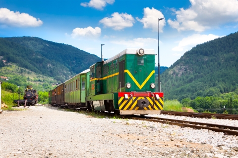 Fahrt mit der Sargan-Acht-Eisenbahn und Berg TaraPrivate Tour auf Englisch