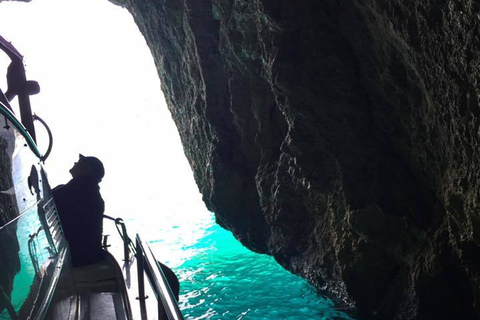 Depuis Sorrente : croisière d'une journée à Capri