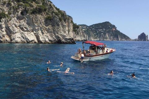 Da Sorrento: tour guidato in barca di Capri con pranzo