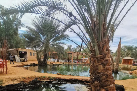 Full Day From Djerba: Ksar Ghilane Oasis & Star Wars Site by JEEP Day Trip from Djerba: Ksar Ghilane Oasis & Star Wars Site by JEEP