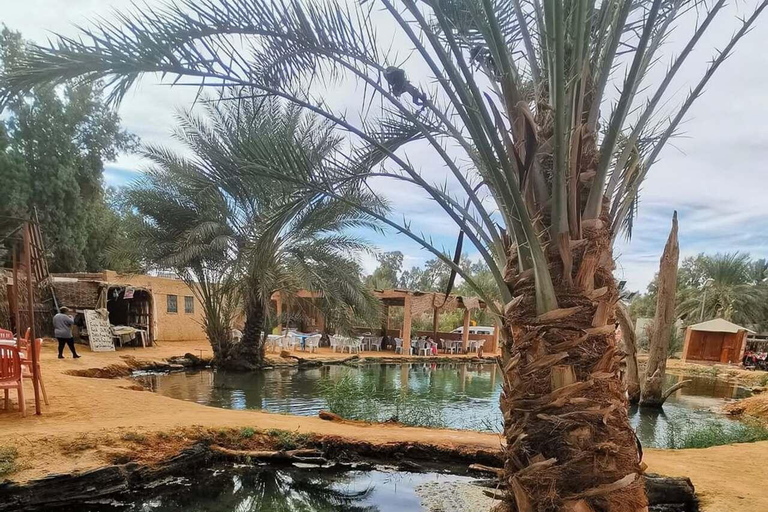 Full Day From Djerba: Ksar Ghilane Oasis & Star Wars Site by JEEP Day Trip from Djerba: Ksar Ghilane Oasis & Star Wars Site by JEEP