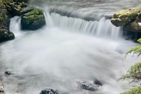 Hatcher Pass & Reindeer Adventure Tour – Anchorage Pickup