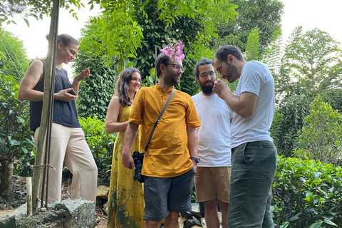 إيلا: جولة في حديقة التوابل Nine Arch مع غداء تقليدي