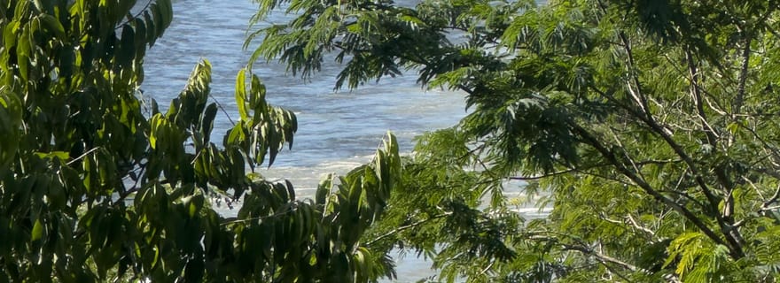 de Foz do Iguaçu : Visite privée sur les chutes argentines