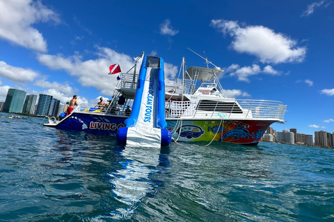 Honolulu: Crociera deluxe Waikiki con snorkeling e fauna selvatica