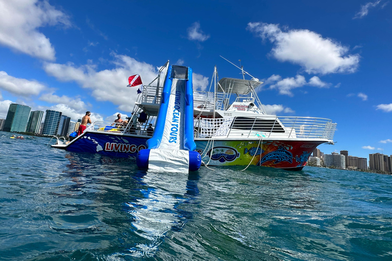 Honolulu: Crociera deluxe Waikiki con snorkeling e fauna selvatica