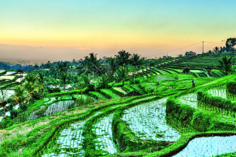 Bali: North Bali Waterfalls Private Tour with Guide