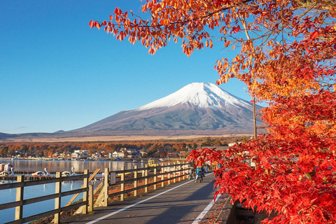 Wycieczka na górę Fuji Hakone/Kamakura: BEZPŁATNA kolejka linowa i rejs po jeziorze AshiWycieczka ze stacji Shinjuku o godz. 8:30 – bez kolejki linowej i rejsu statkiem