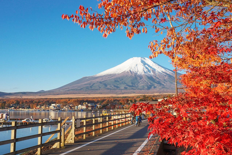 Wycieczka na górę Fuji Hakone/Kamakura: BEZPŁATNA kolejka linowa i rejs po jeziorze AshiWycieczka ze stacji Shinjuku o godz. 8:30 – bez kolejki linowej i rejsu statkiem