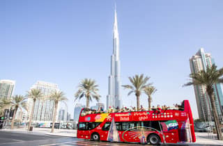 Tour panoramico della città in autobus hop-on hop-off + tour al tramonto e notturno
