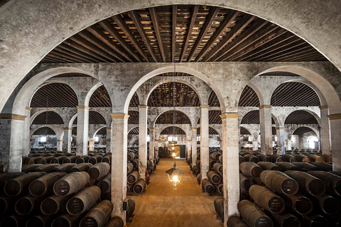 Jerez: tour di degustazione e cantina di sherry di 1,5 oreJerez: tour di una bodega e degustazione di Sherry