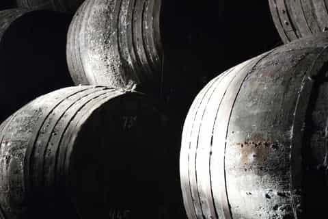 Jerez: 1.5-Hour Sherry Winery and Tasting Tour