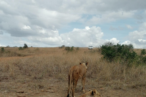 Parque Nacional do Lago Nakuru saindo de Nairóbi