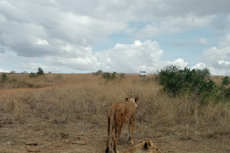 Lake Nakuru National Park von Nairobi aus