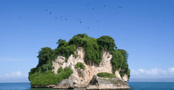 Private Los Haitises Nature Adventure from Punta Cana
