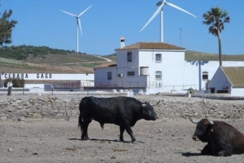 Von Sevilla aus: Halbtägige Tour zum StierzuchtbetriebGemeinsame Tour